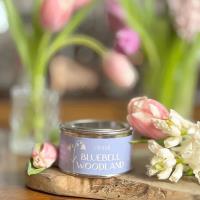 Pintail Candles Bluebell Woodland Paint Pot Candle Extra Image 3 Preview